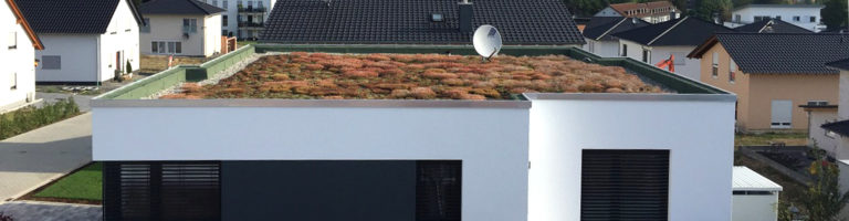 Eubu Breaker Dachbegruenung - EUBU